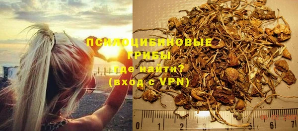 PSILOCYBIN Богородицк