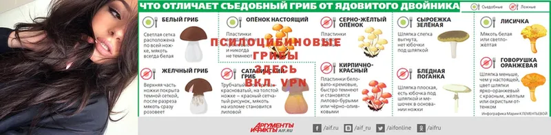 Галлюциногенные грибы мицелий  как найти закладки  Нижний Ломов 